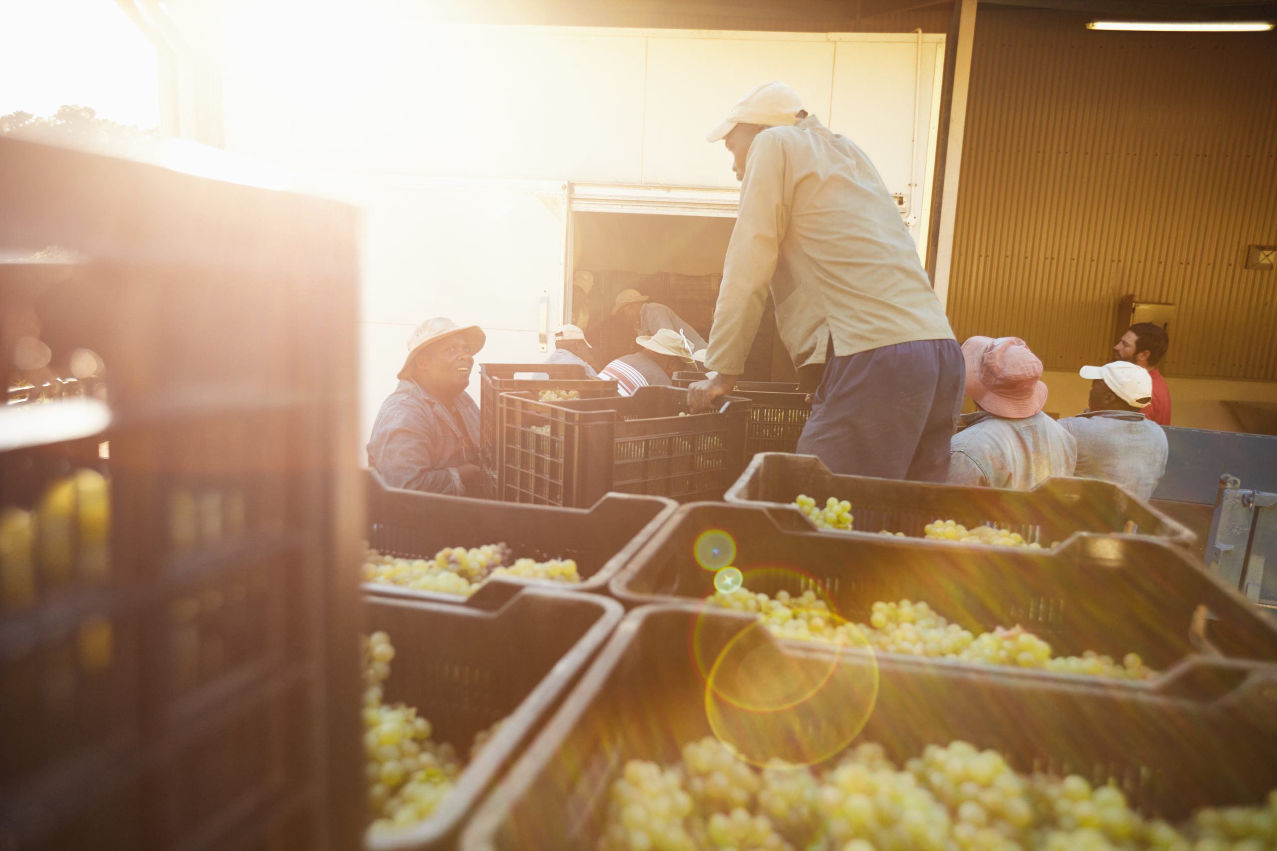 Caixas Plásticas de Alta Qualidade para Soluções Industriais e Comerciais
